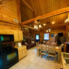 Wilderness Cabin