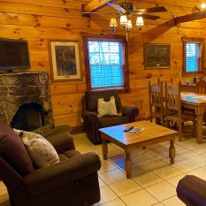 Wilderness Cabin